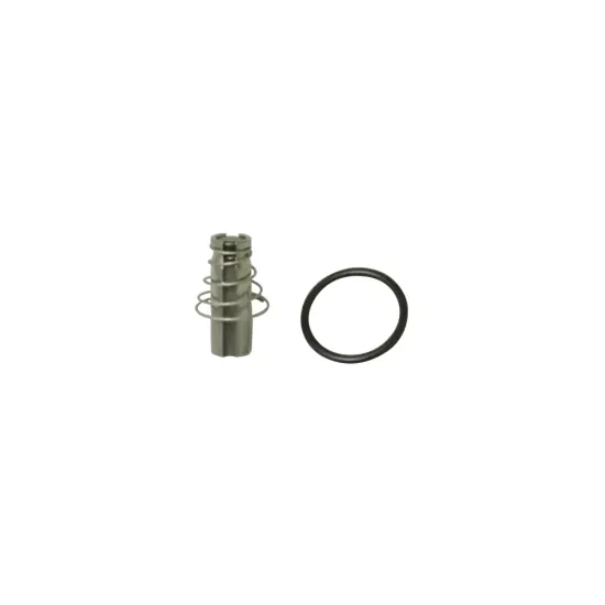 Kit nucleu electrovalva pentru apa SIRAI L129 (G2877601)