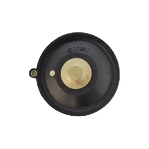 Membrana electrovalva pentru apa SIRAI L182B  (2299701R), 3/4”