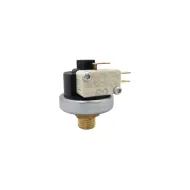 Presostat automat pentru vapori, 1.5 – 4 bari, 1/4″, Mater