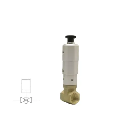 Supapa pneumatica de blocare "DEAL" ( revenire pneumatica N.C.), 3”