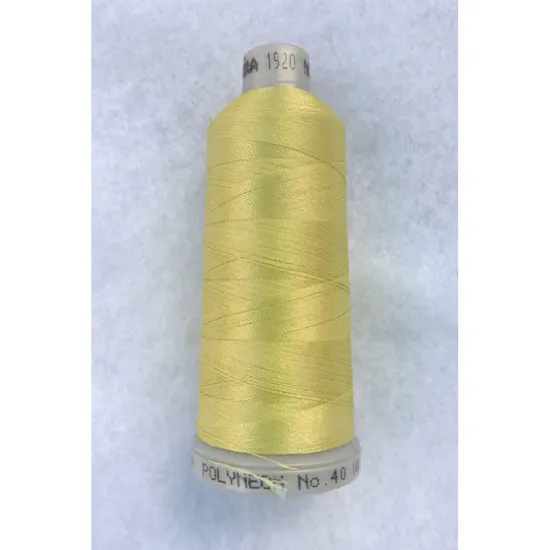 Ata de brodat polyneon Light Khaki, 100% polyester, finete 40, con 1000 metri, cutie 10 conuri