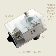 Presostat automat pentru vapori, 2.0 – 5.5 bari, 1/4″, Fantini