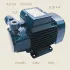 Pompa electrica 4.5 bari, putere 0.50 Kw, racord 1/2″, PEDROLLO PQm 81