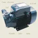 Pompa electrica 7 bari, putere 0.75 Kw, racord 3/4″, PEDROLLO PQm 90
