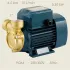 Pompa electrica 4.5 bari, putere 0.50 Kw, racord 1″, 380V, Pedrollo PQ 65